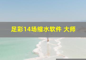 足彩14场缩水软件 大师